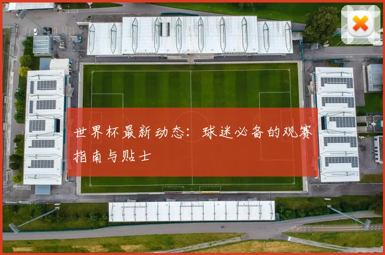 世界杯最新动态:球迷必备的观赛指南与贴士